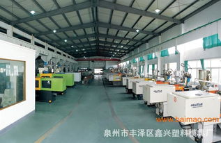 泉州市豐澤區(qū)鑫興塑料模具廠 專業(yè)注塑加工與模具制造服務(wù)